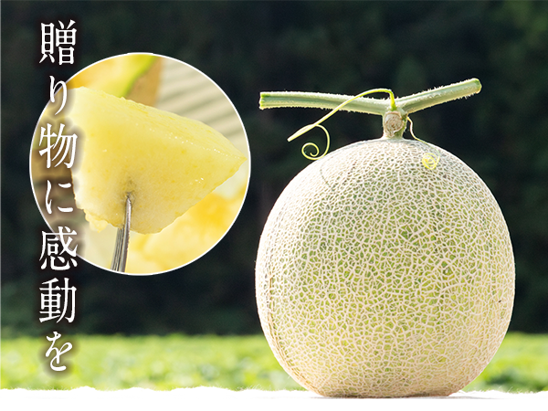 贈答にも大人気のメロン通販】濃厚な甘みととろける食感、美しさを