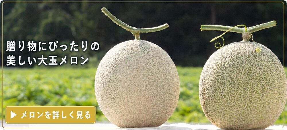 贈り物にぴったりの美しい大玉メロンを通販でお届けします