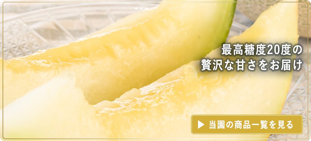 最高糖度20度の贅沢な甘さをお楽しみください