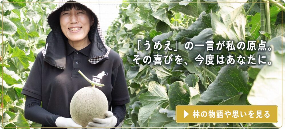 昭和村唯一のメロン農家「昭和村はやしふぁーむ」の物語